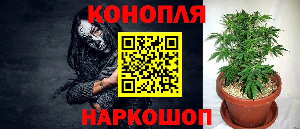 Конопля SATIVA & INDICA  Вход с VPN  Бошки марихуана THC 21%  Гуково  Каннабис Ganja  Каннабис OG Kush 